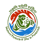 image-removebg-preview (51)